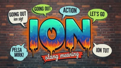 ION slang meaning